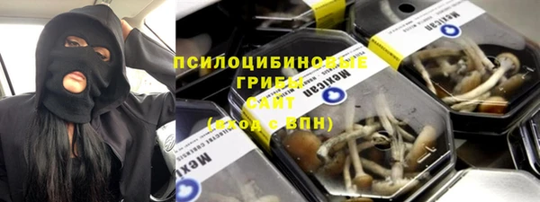 ПСИЛОЦИБИНОВЫЕ ГРИБЫ Алексин