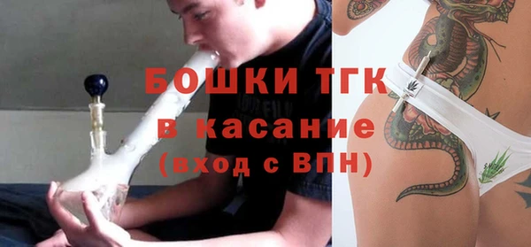 ешки Алзамай