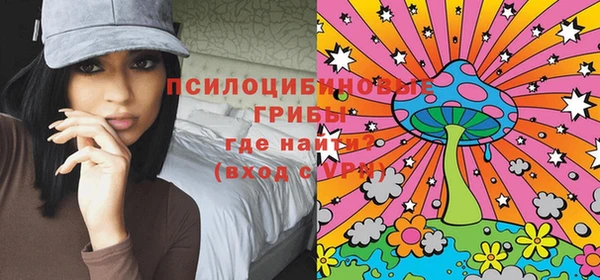 ПСИЛОЦИБИНОВЫЕ ГРИБЫ Алексин