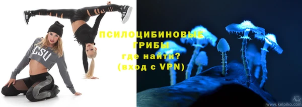 ешки Алзамай