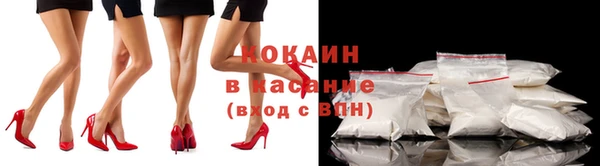 ПСИЛОЦИБИНОВЫЕ ГРИБЫ Алексин