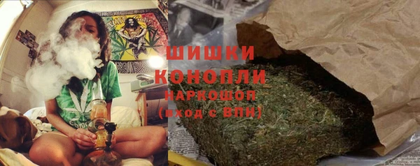 ПСИЛОЦИБИНОВЫЕ ГРИБЫ Алексин