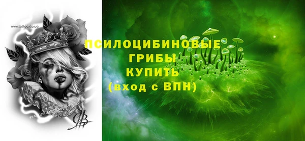ПСИЛОЦИБИНОВЫЕ ГРИБЫ Алексин